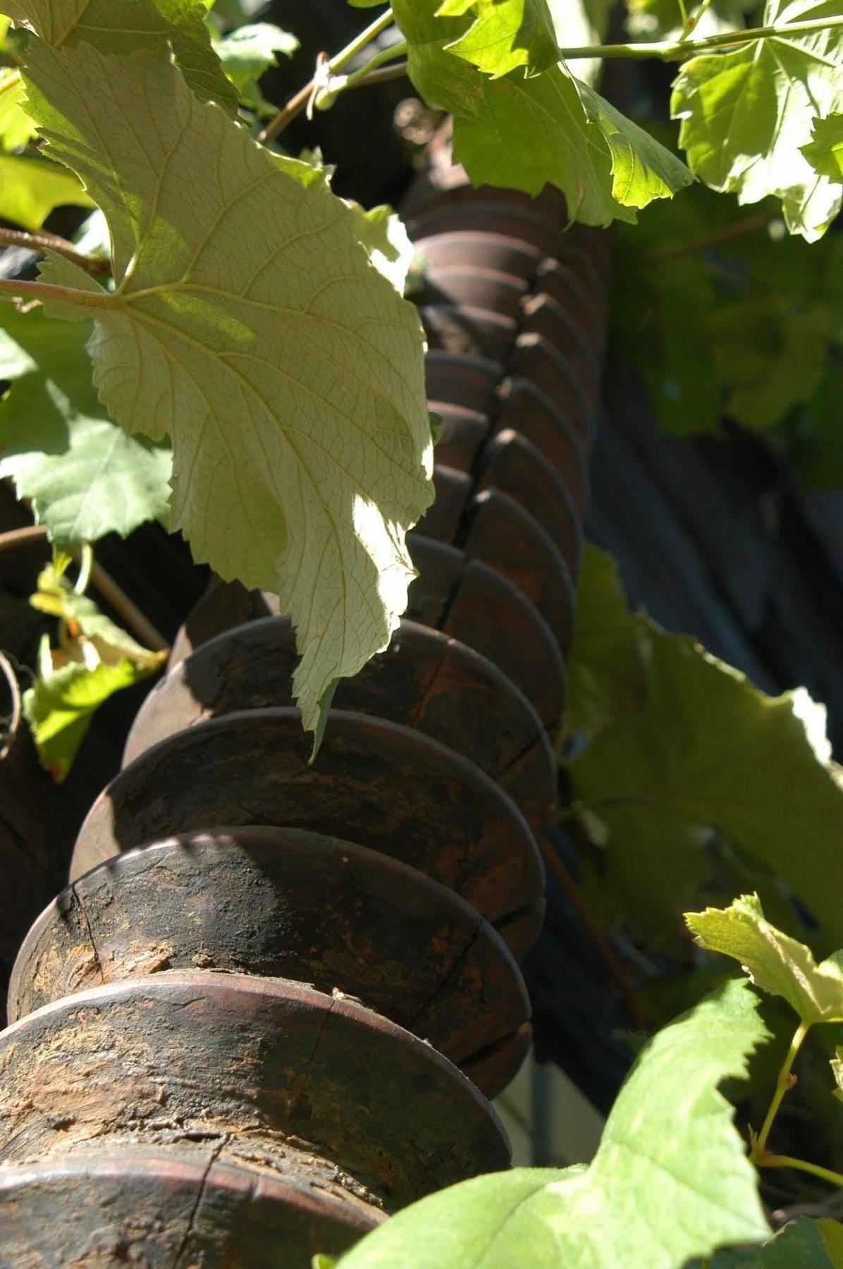 Weingut Primus Suedsteiermark Spielfeld Extérieur photo