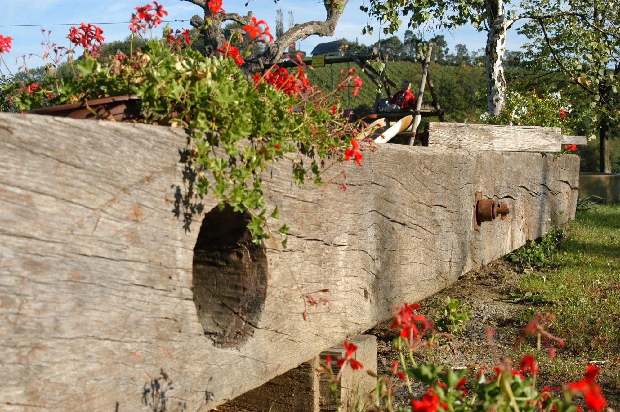 Weingut Primus Suedsteiermark Spielfeld Extérieur photo