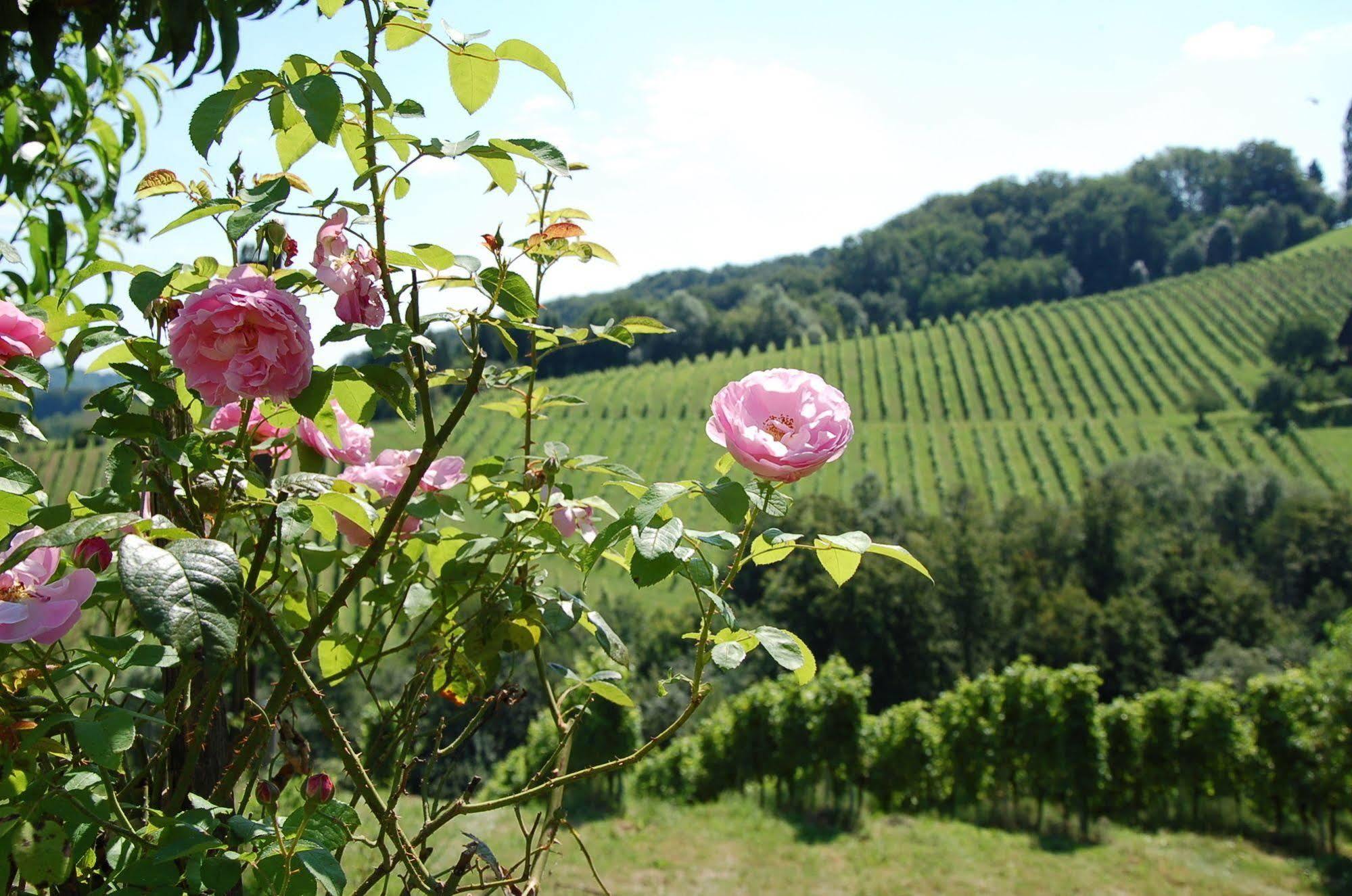 Weingut Primus Suedsteiermark Spielfeld Extérieur photo